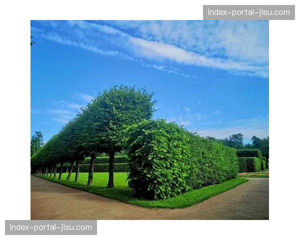 专访：日本传奇投手上野由岐子谈第五届世界杯之旅与退役规划